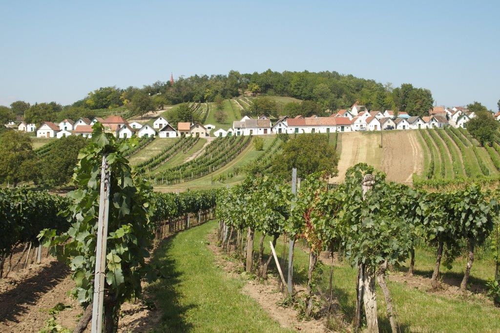 Gaestehaus Weinviertel - Niederoesterreich Siebenhirten Zewnętrze zdjęcie